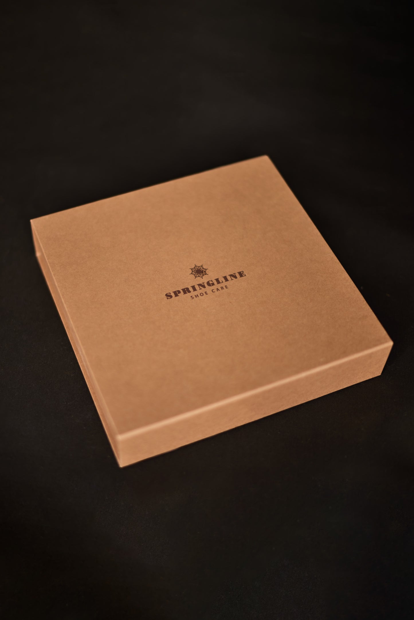 Large Leather Shoe Care Kit