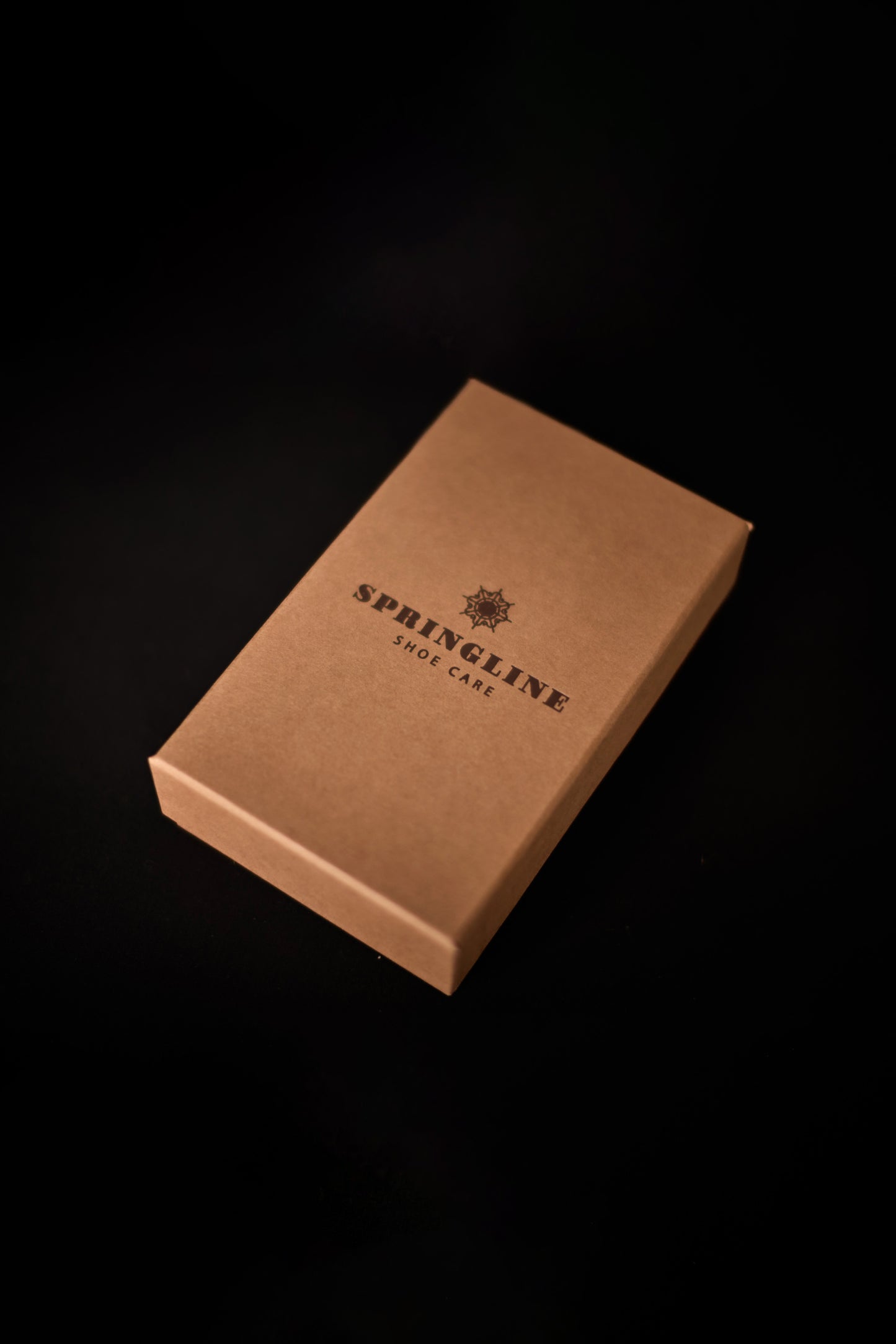 Sneaker Shoe Care Kit