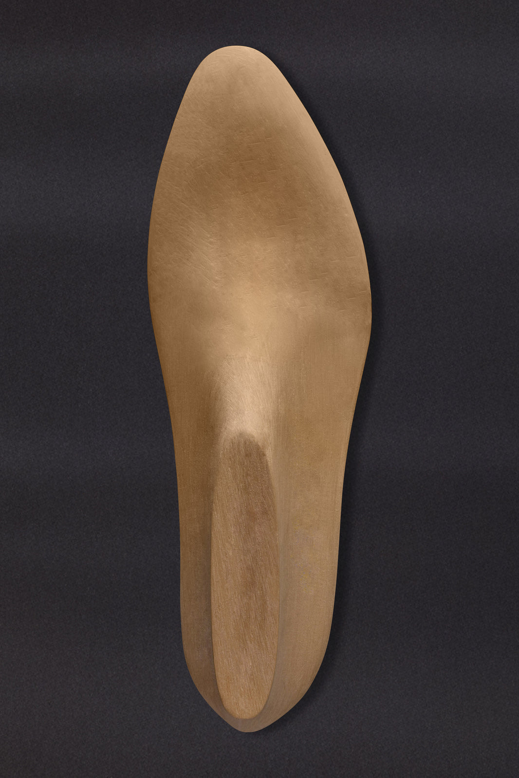 Shoe Lasts – Springline