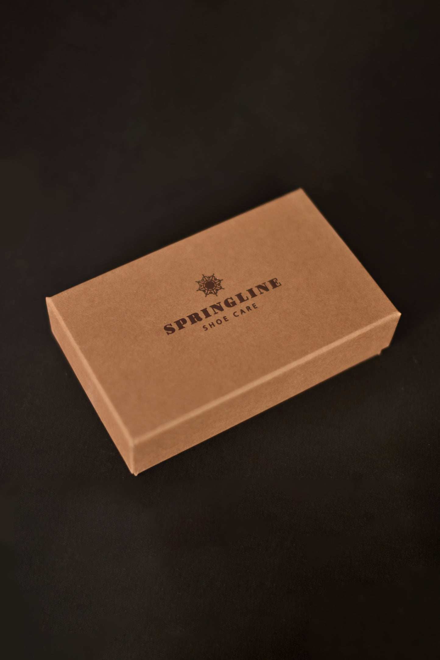 Leather Shoe Care Kit