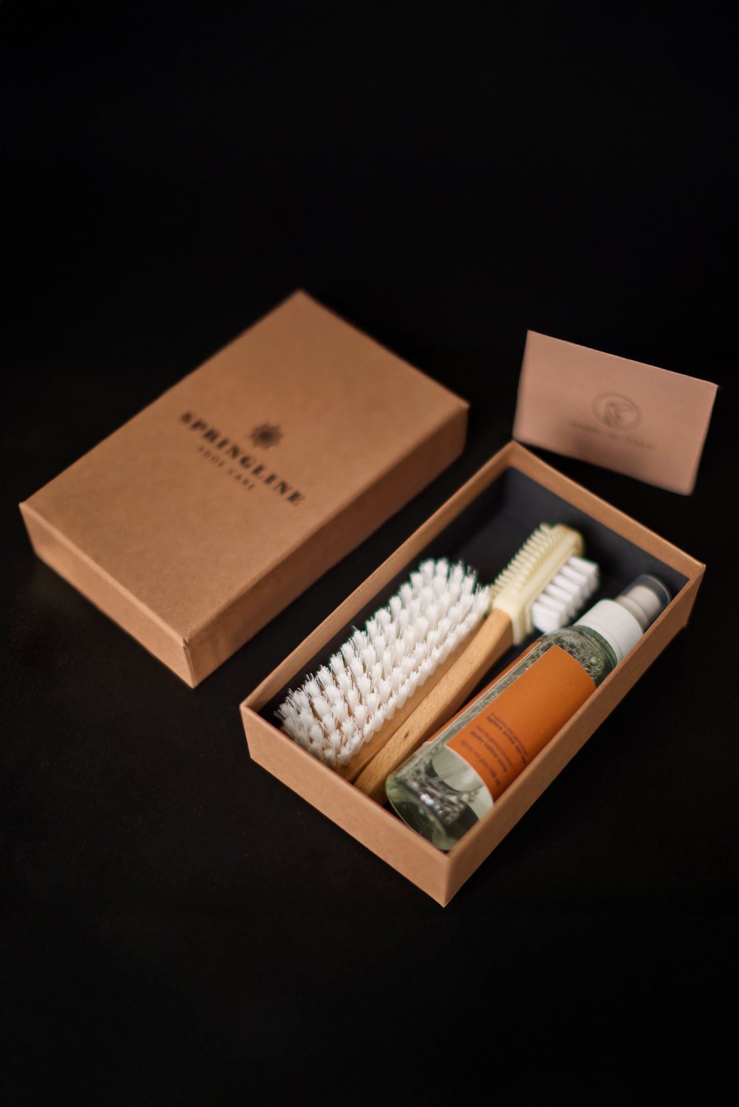 Sneaker Shoe Care Kit