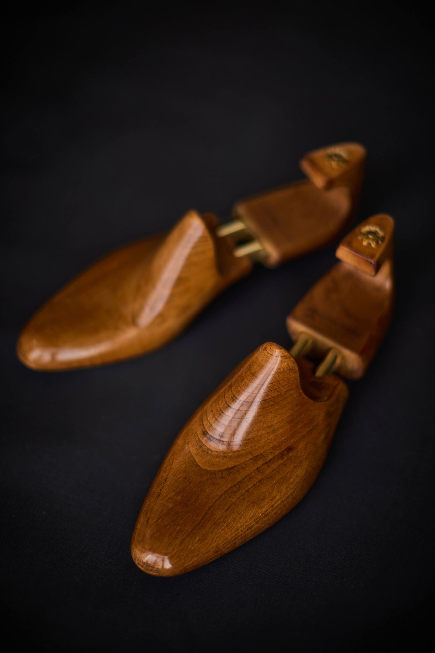 Pair of wooden shoe trees on a black background