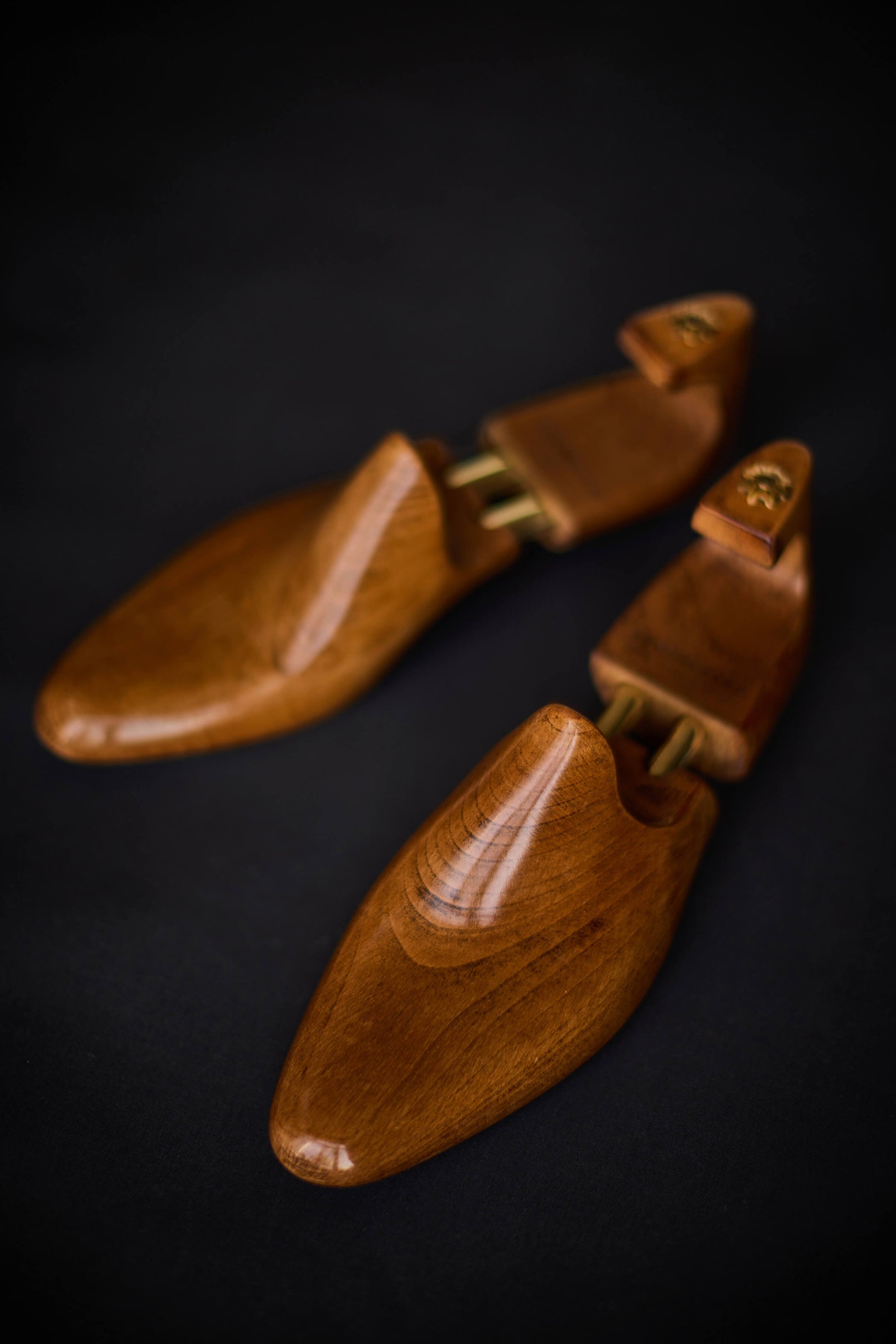 Pair of wooden shoe trees on a black background